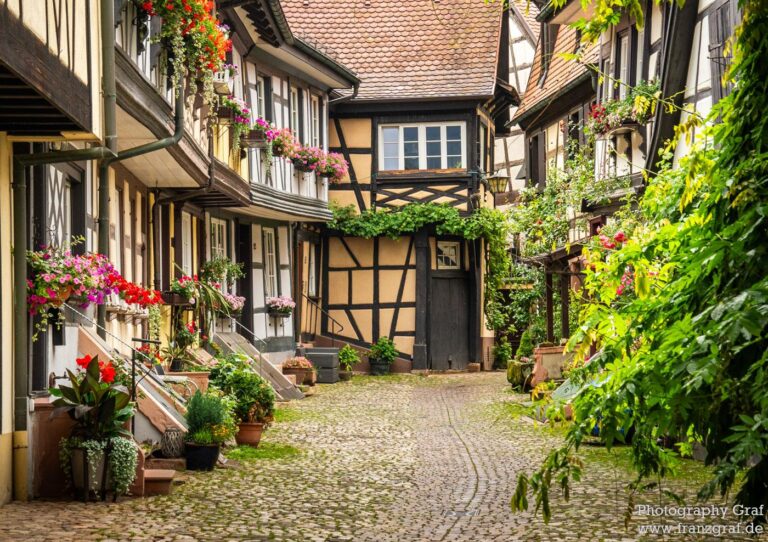 Black Forest Travel Guide: Villages, Nature & Scenic Routes